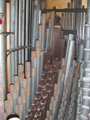 Inside The Organ