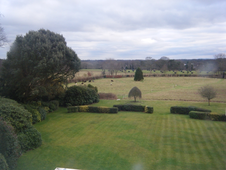The Meadow